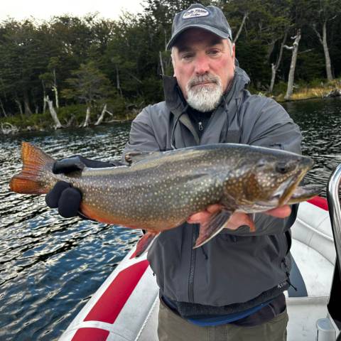 Brook Trout - March 2026