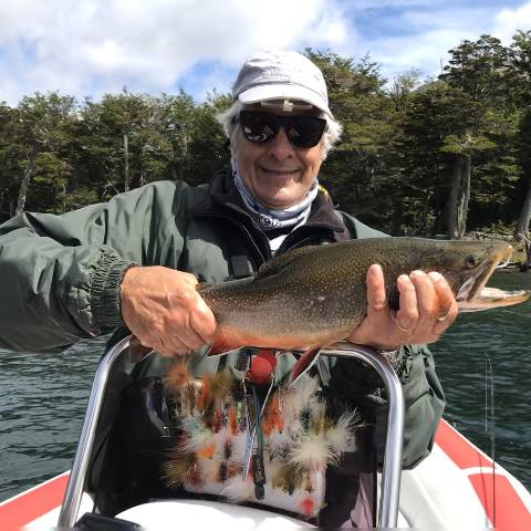 Fontinalis -Brook trout