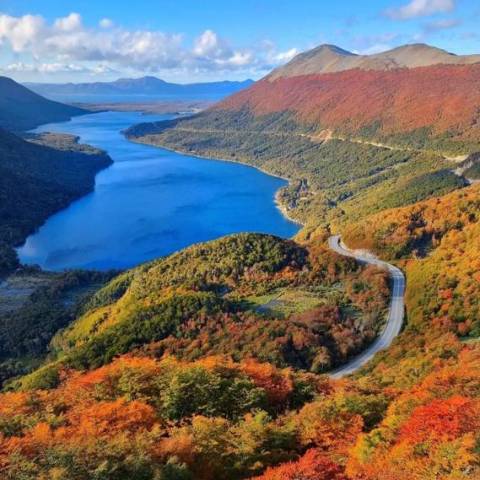 Otoño (Fall) en Tierra del Fuego