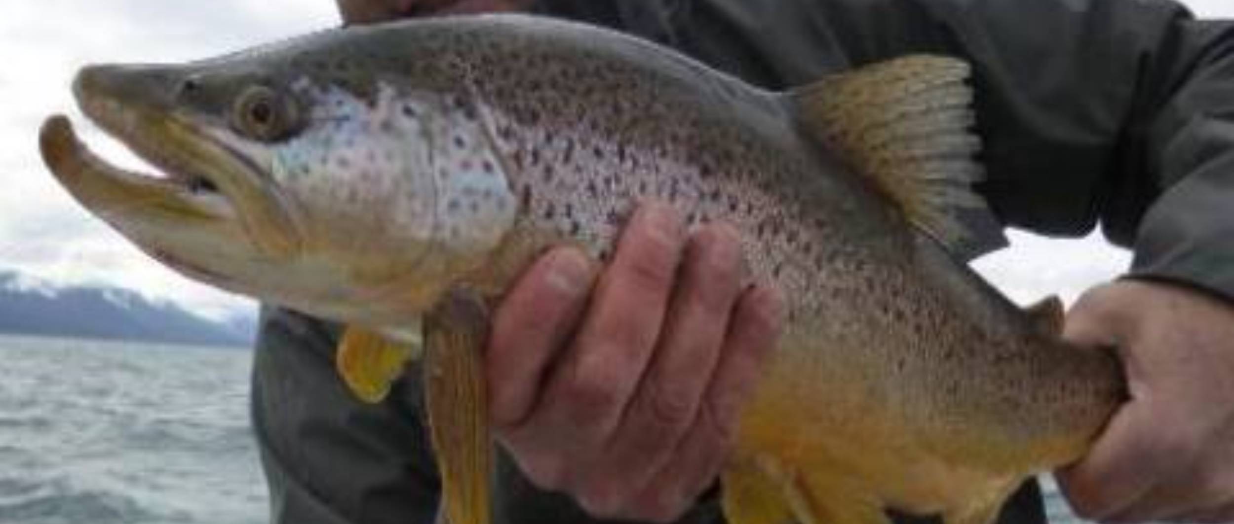 Fly Fishing Ushuaia